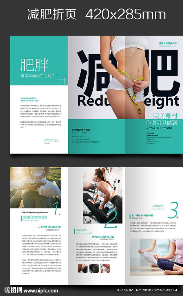 减肥三折页