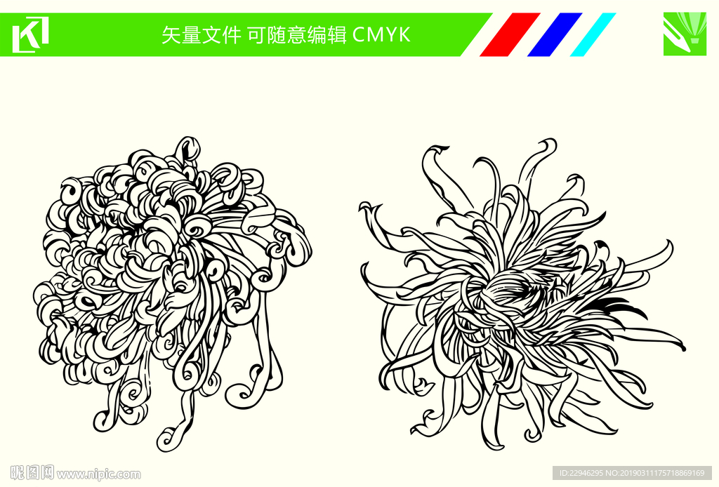 菊花手绘线条图