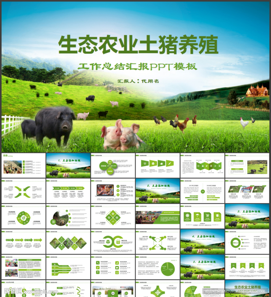 生态农业土猪养殖工作动态ppt