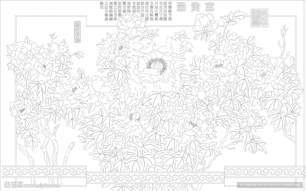 牡丹线条图