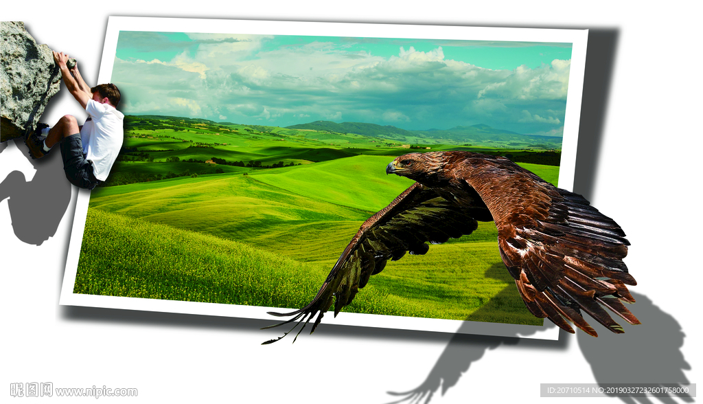 3D立体老鹰文化墙背景