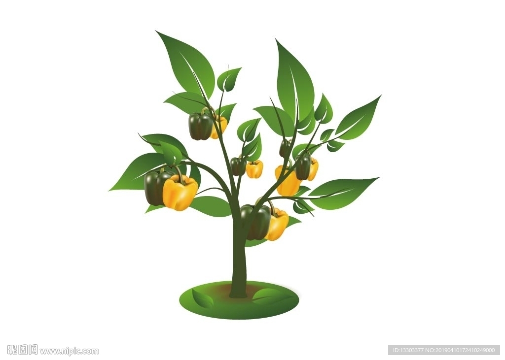 菜椒 矢量蔬菜图