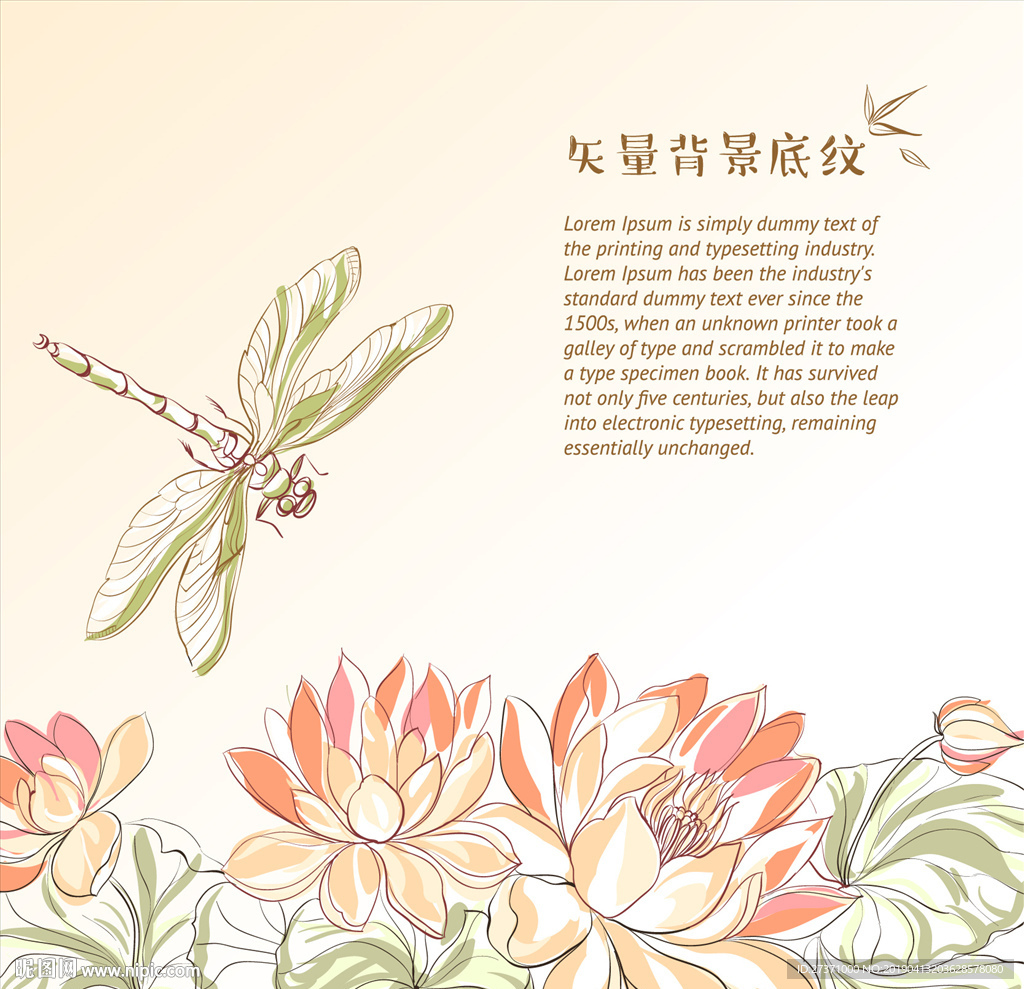 蜻蜓点水荷花含苞题诗开放图