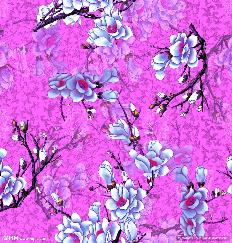 花卉 花朵 花朵树枝 梅花