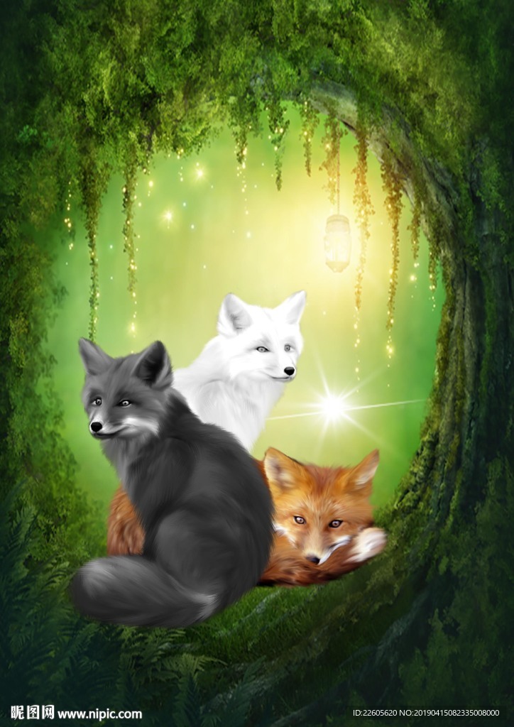 白狐黄狐黑狐狐仙狐狸精