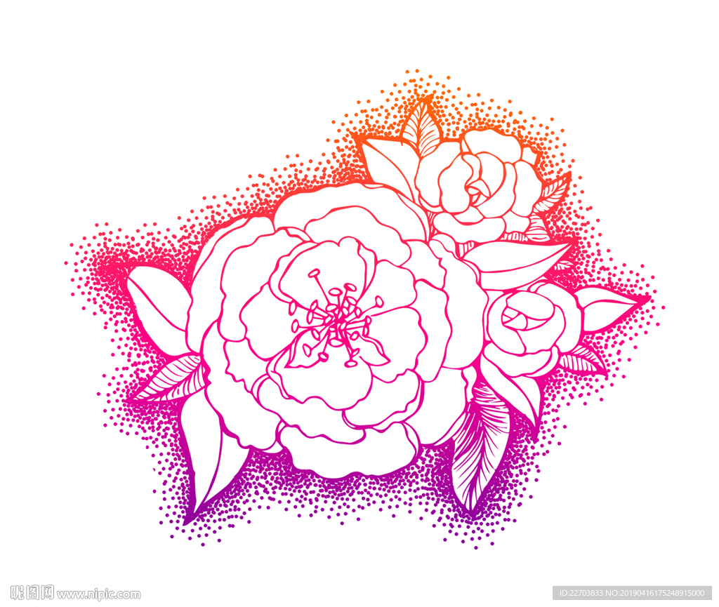 海棠花 花 手绘 线稿