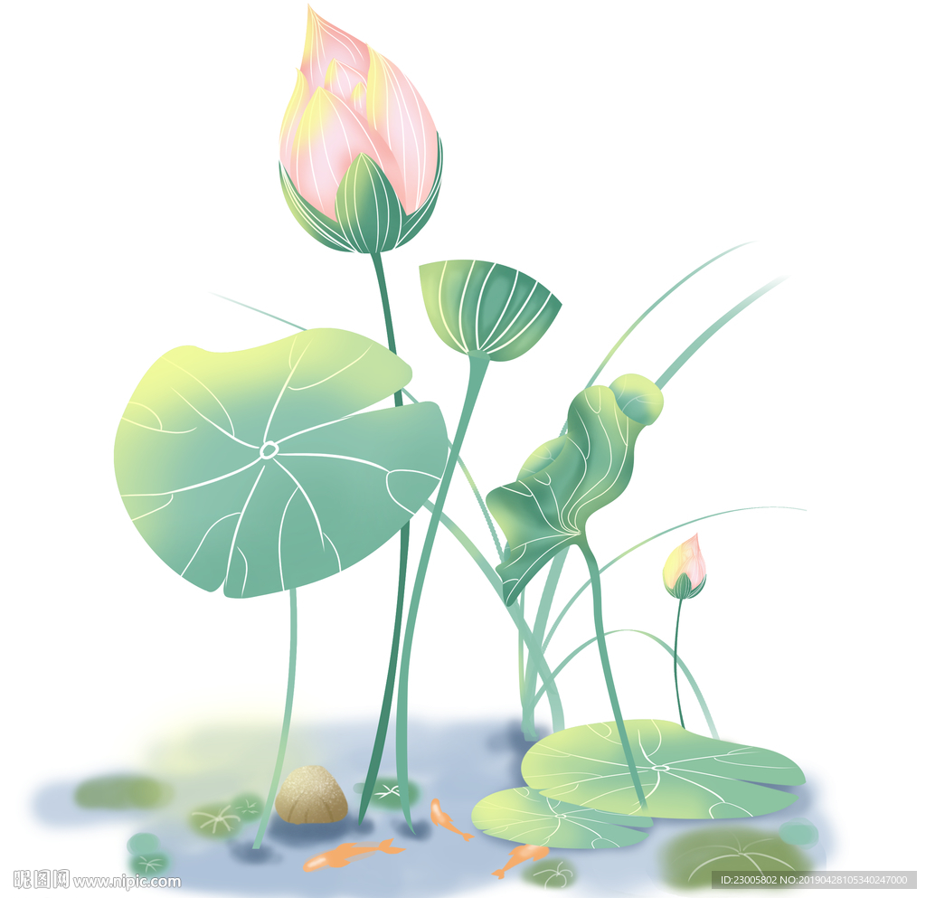 手绘夏夜荷花素材