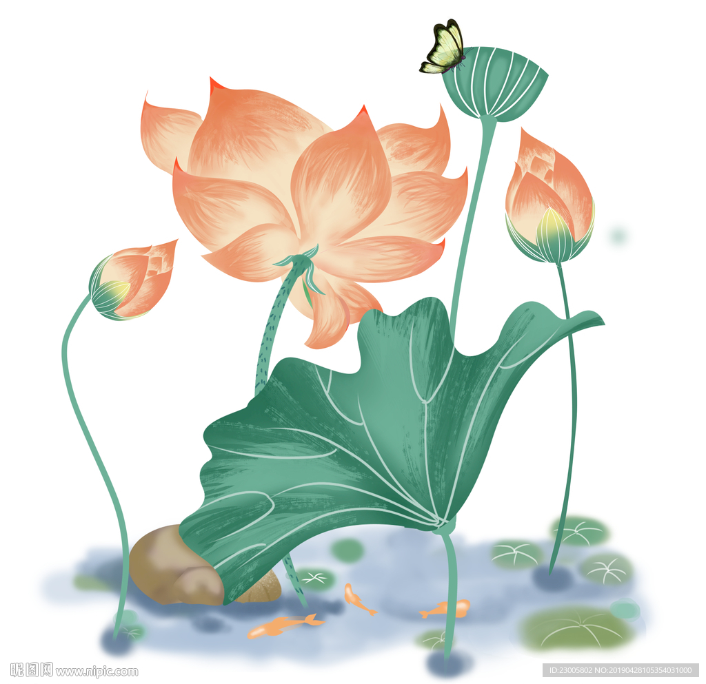 手绘夏夜荷花素材