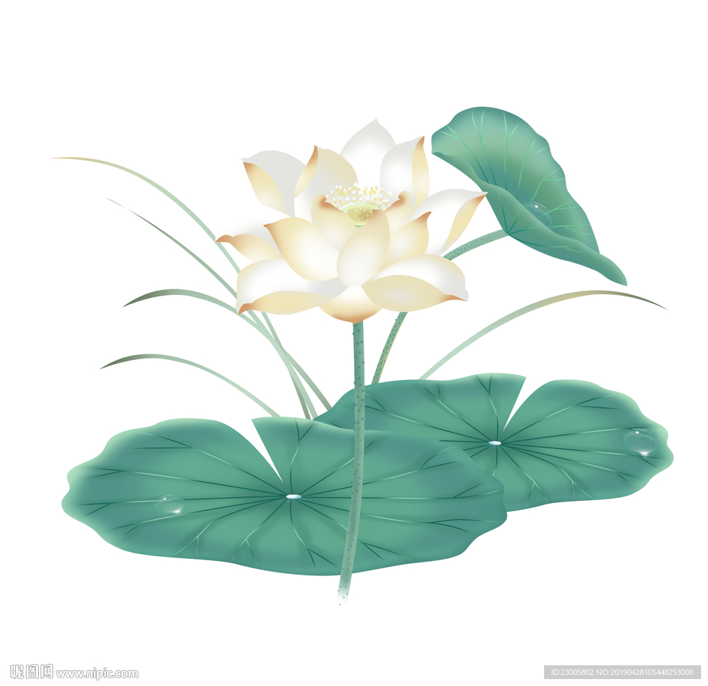 手绘清新水墨插画荷花荷叶中国风