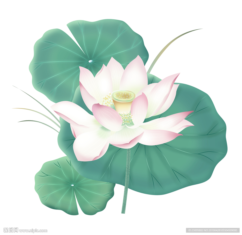 手绘清新水墨夏夜荷花中国风