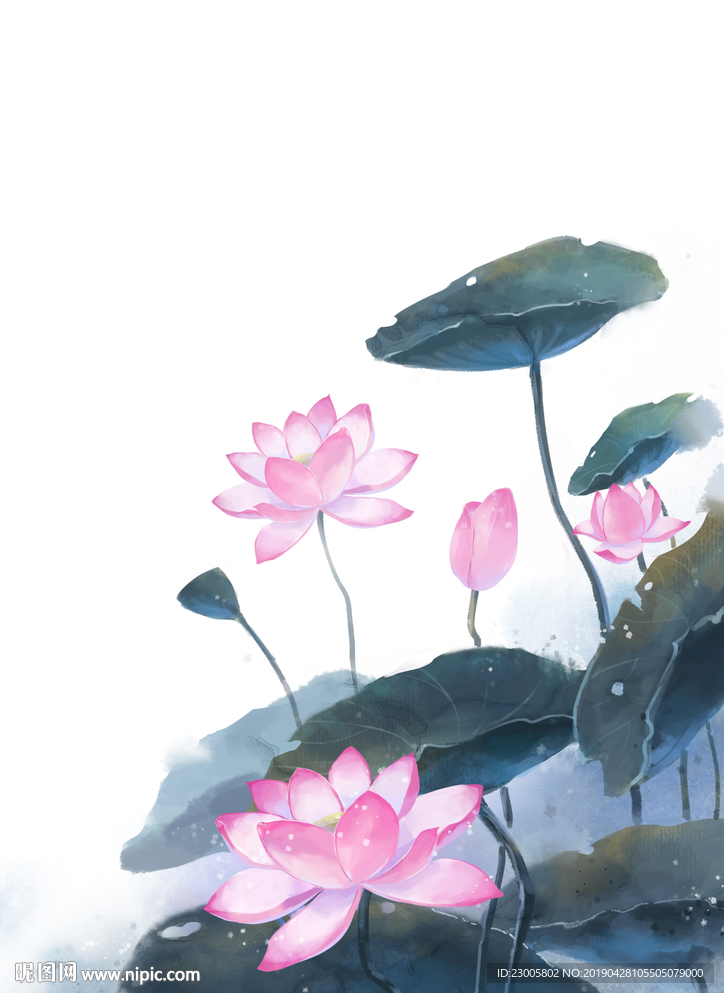 手绘中国风夏夜荷花