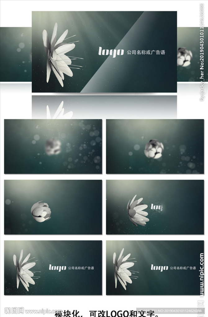 花开LOGO标志片头动画AE模