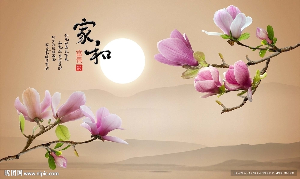 家和富贵花好月圆玉兰花电视背景