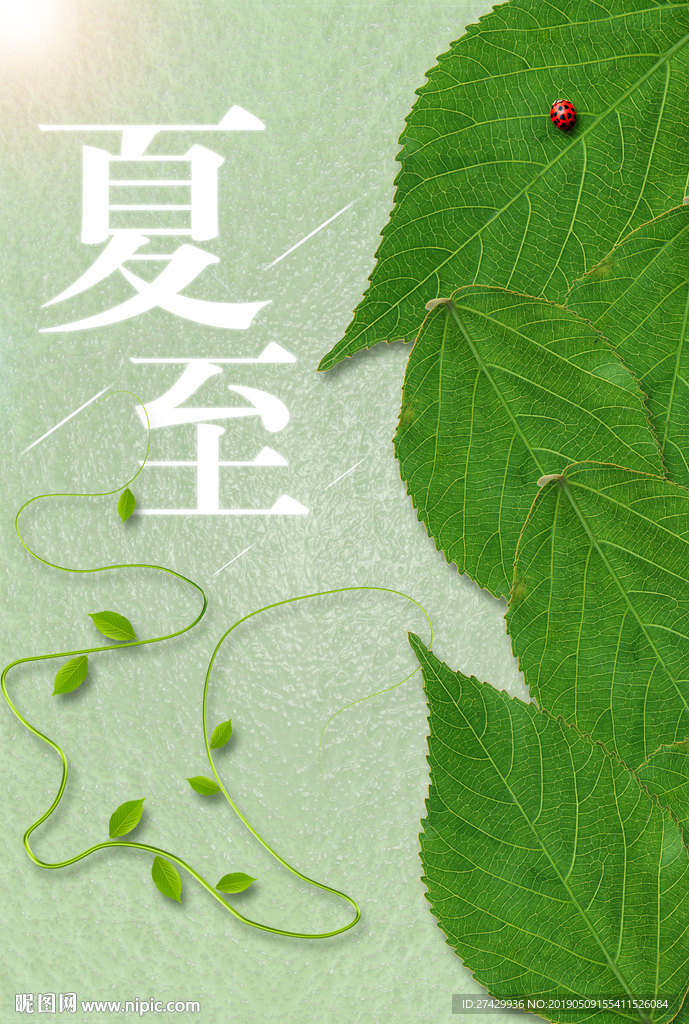 夏至节气树叶树藤海报壁纸设计