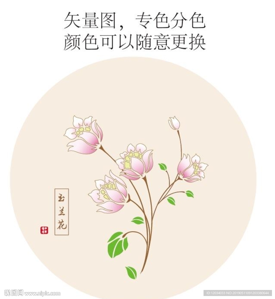 矢量玉兰花