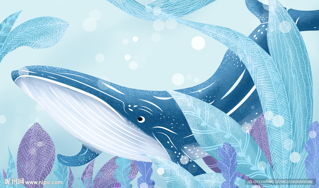 手绘梦幻鲸鱼插画