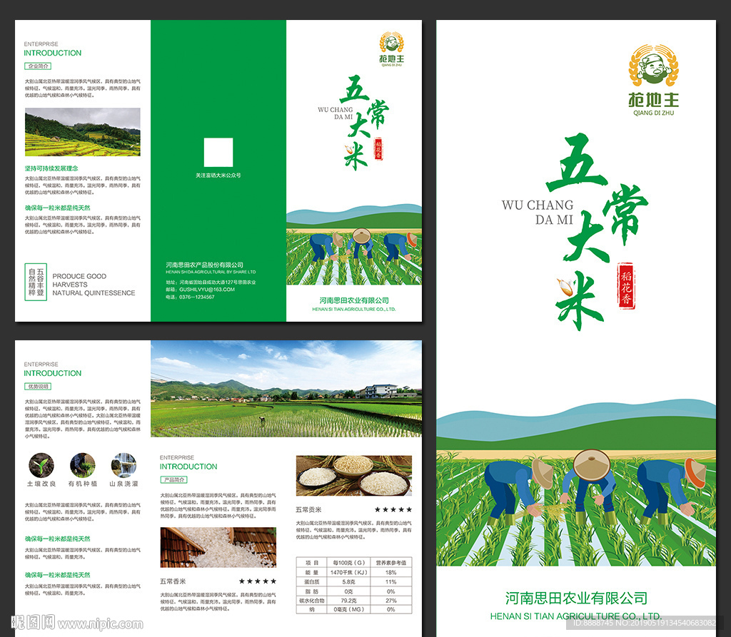 五常大米促销宣传三折页设计