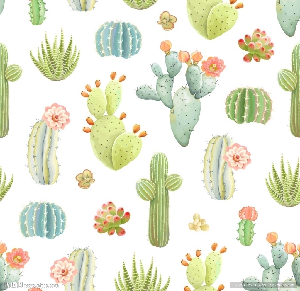 手绘仙人掌多肉印花