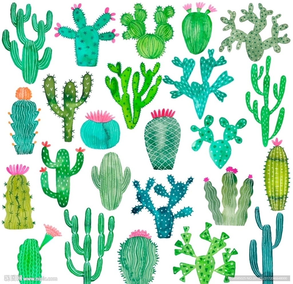 手绘仙人掌植物印花