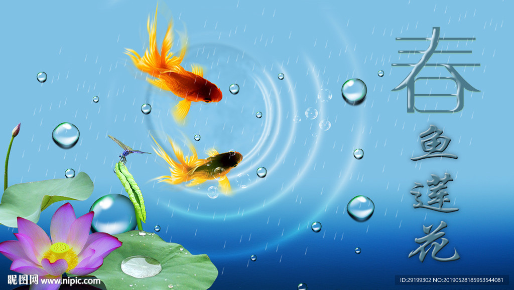 莲花  睡莲  金鱼