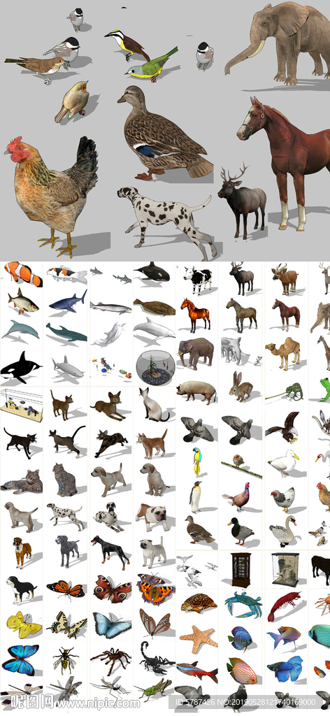 家禽昆虫SU模型