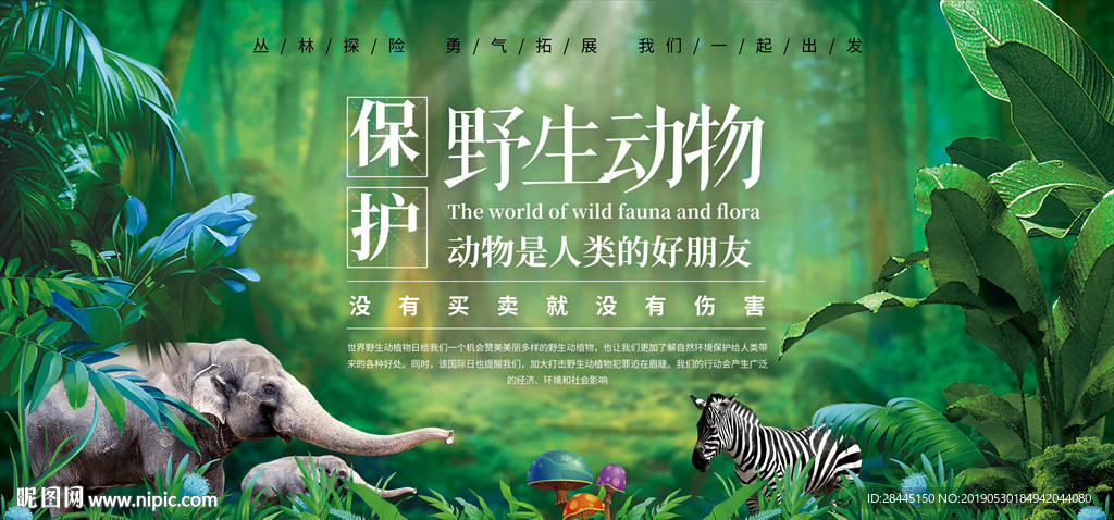 保护野生动物