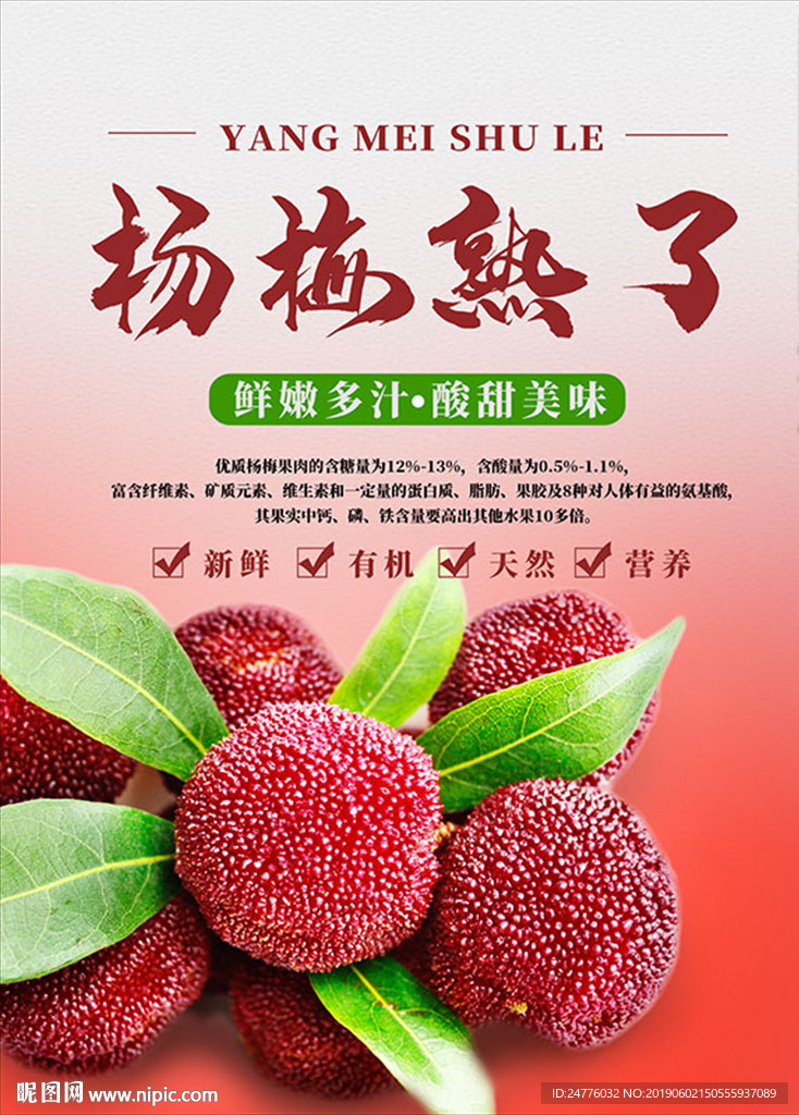 新鲜杨梅水果宣传海报
