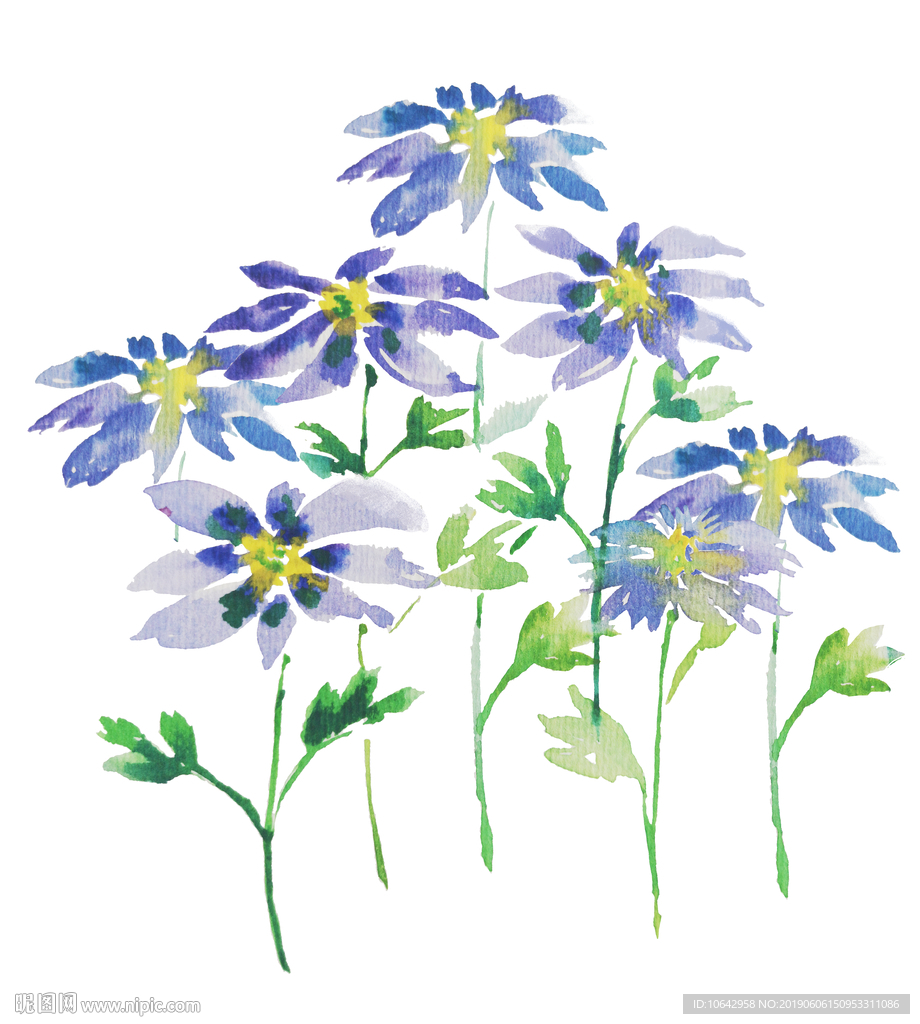 水彩小雏菊插画