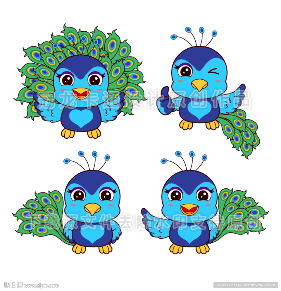 可爱孔雀2019