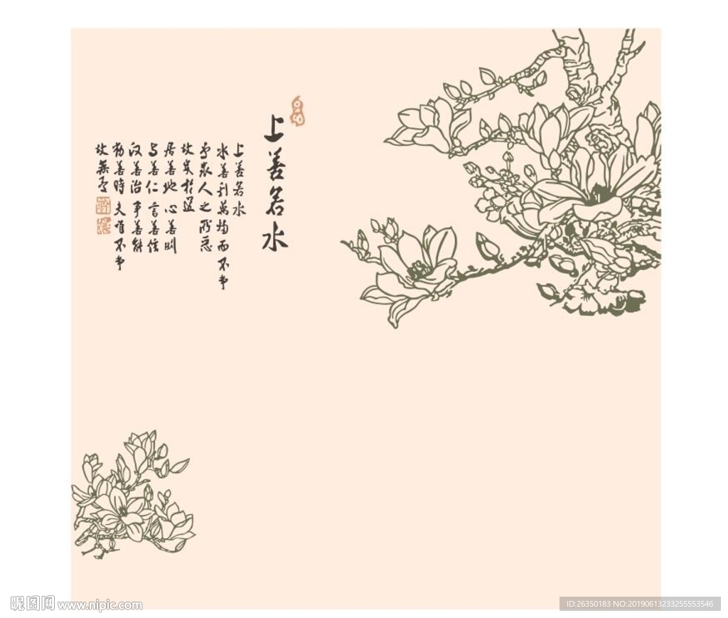 上善若水 玉兰花