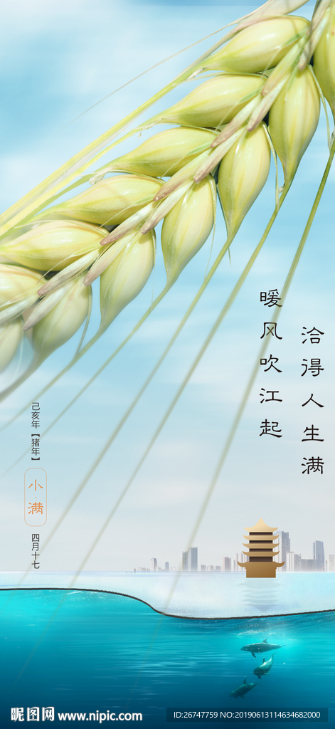 小满 芒种  节气