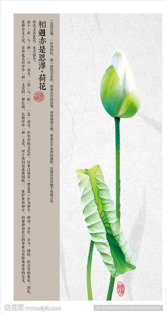 相遇亦是恩泽·荷花