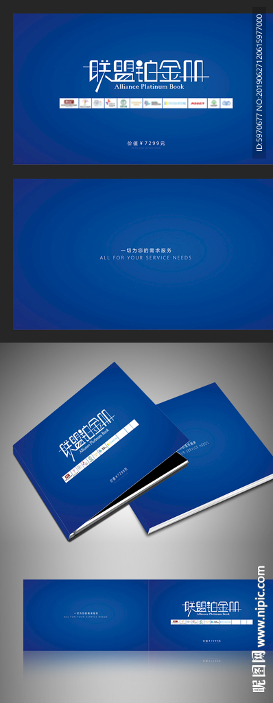 联盟铂金册封面