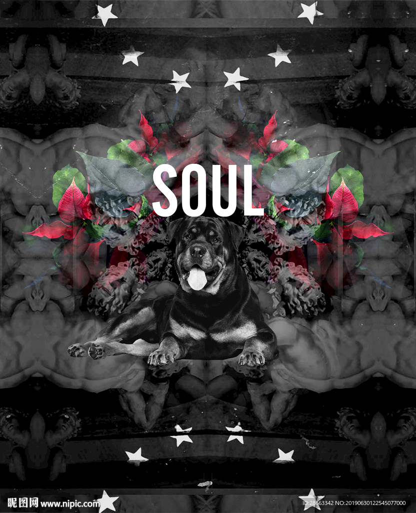 大牌印花 印花 服装印花图片