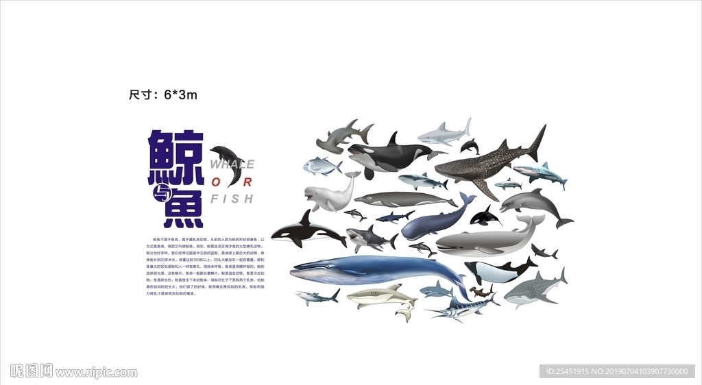 海洋馆 水族馆 海洋科普知识