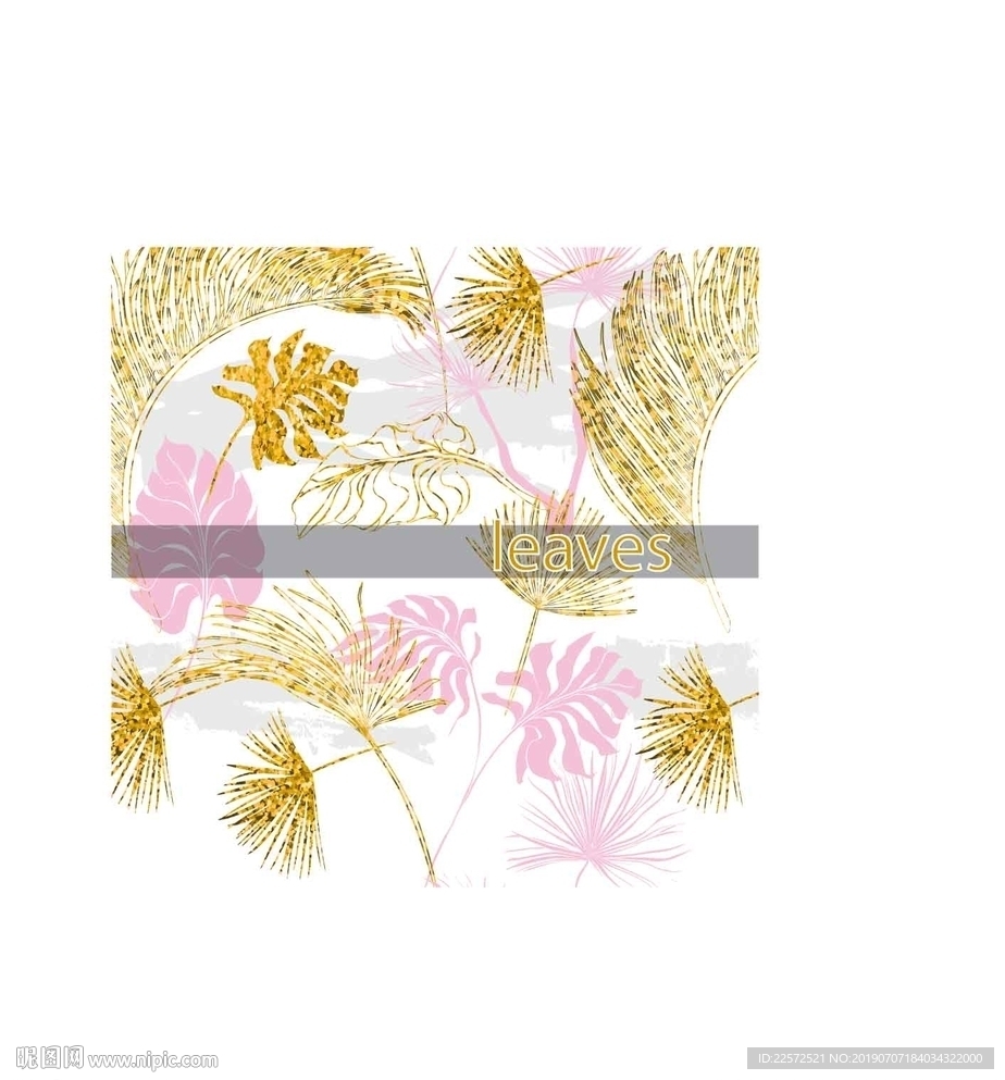 叶子 树叶 花叶 春天 热带