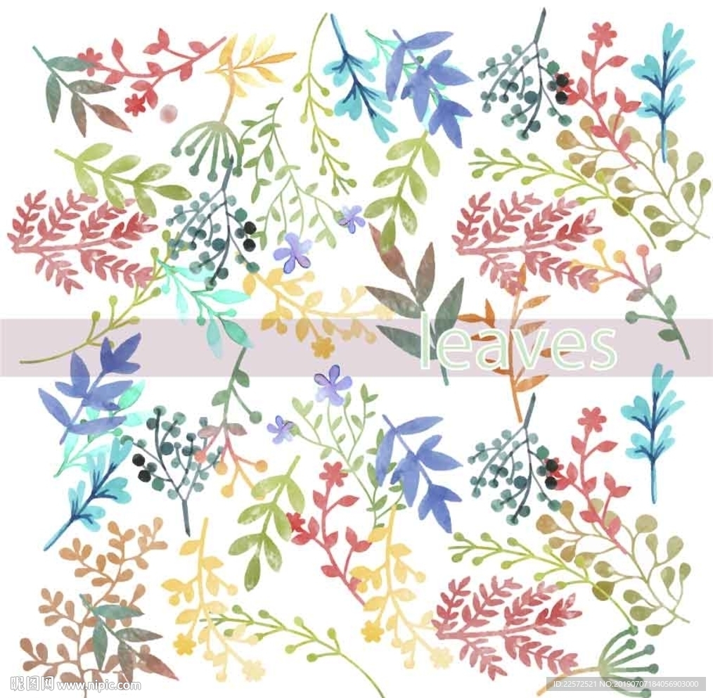 叶子 树叶 花叶 春天 热带