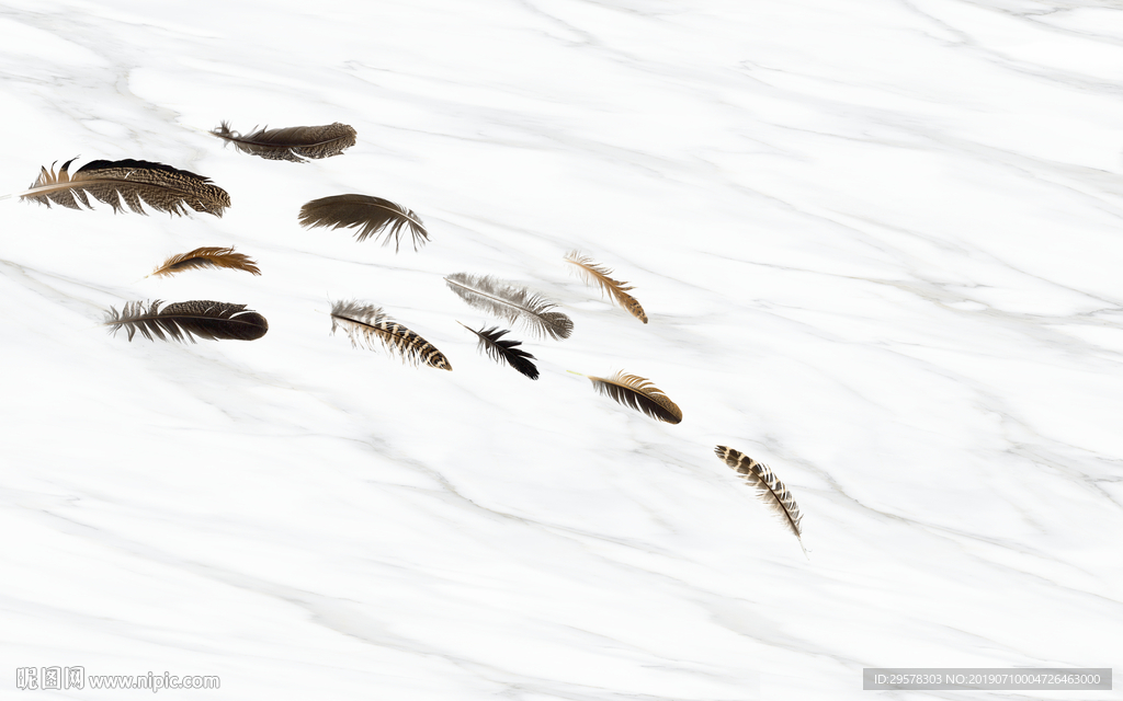 石纹 爵士白 羽毛TIF分层