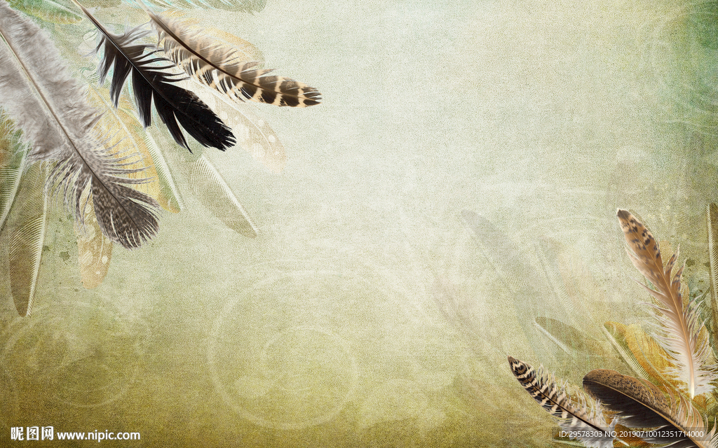 羽毛 高档TIF分层