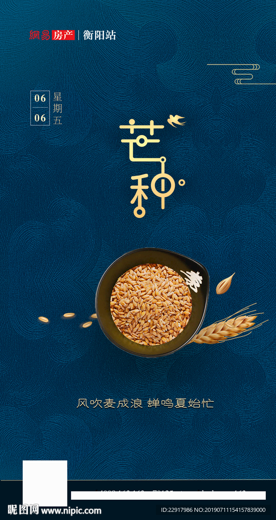 二十四节气芒种粮食蓝色背景