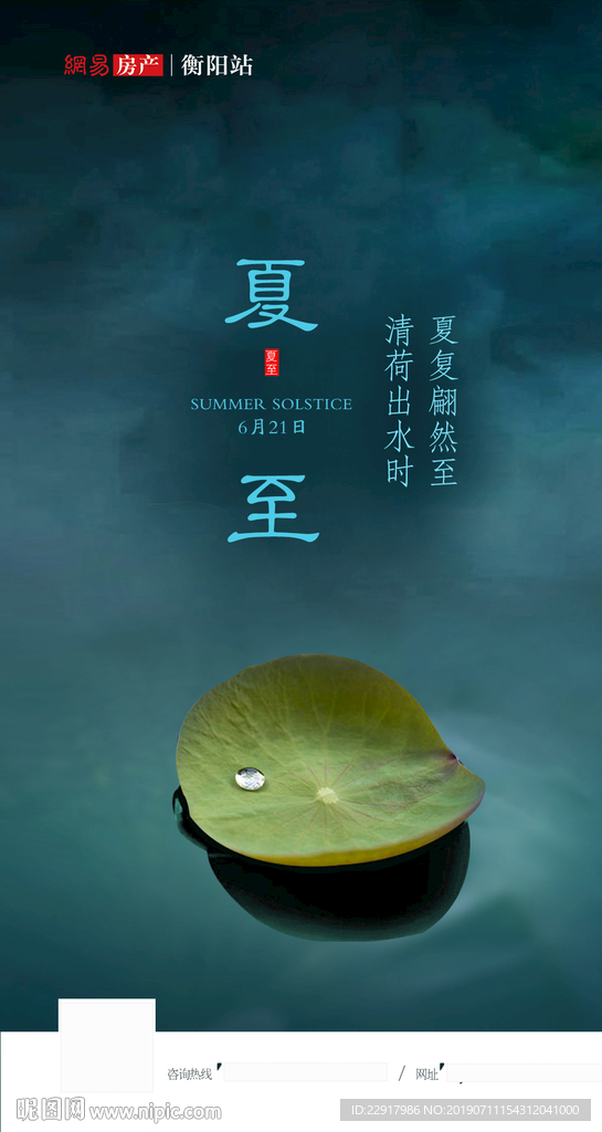 清新夏至图片荷叶露珠