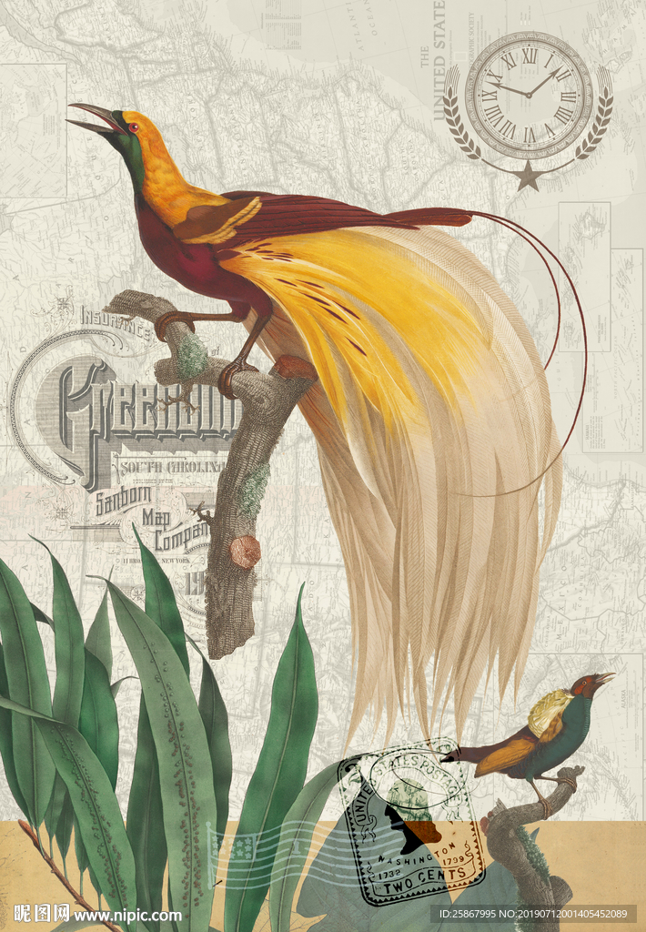 欧美花鸟装饰画