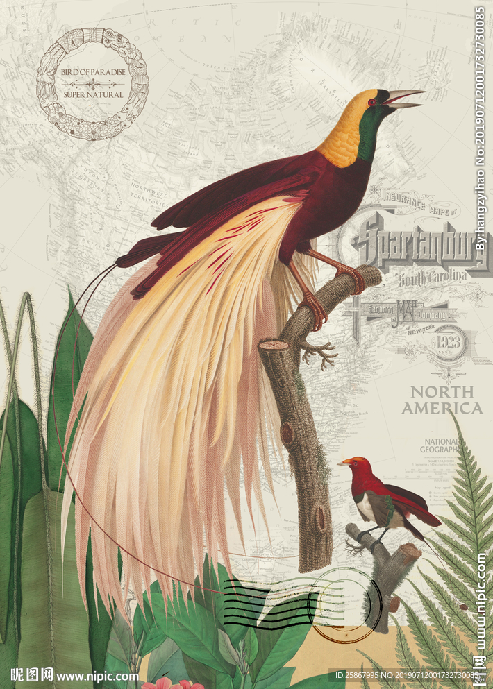 欧美花鸟装饰画