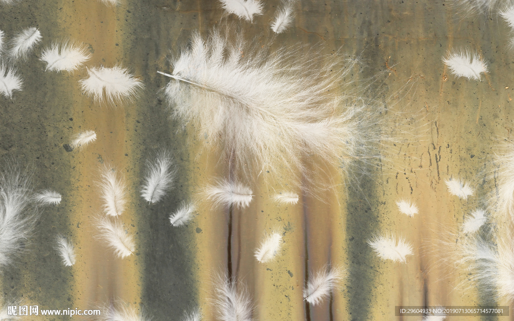 羽毛装饰画 高档TIF分层