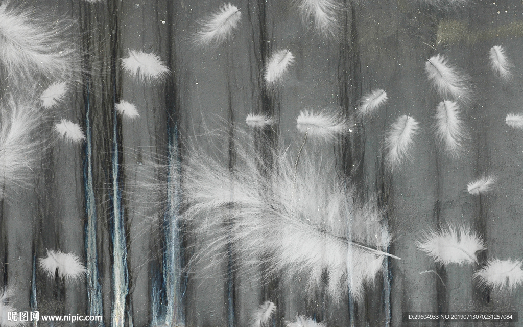 羽毛装饰画 高清TIF分层