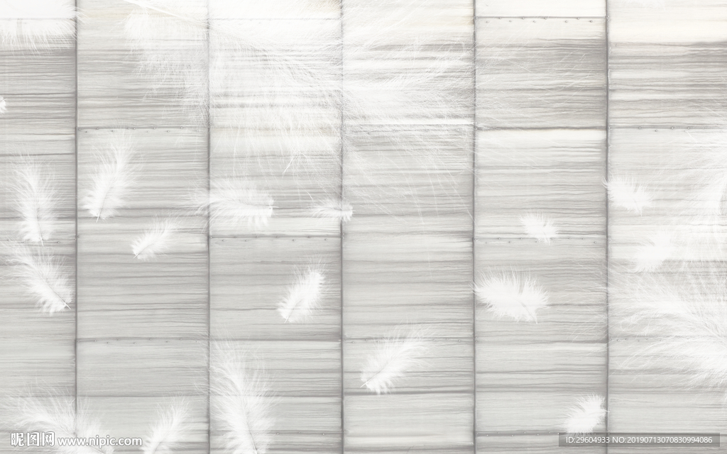 手绘羽毛 高清TIF分层