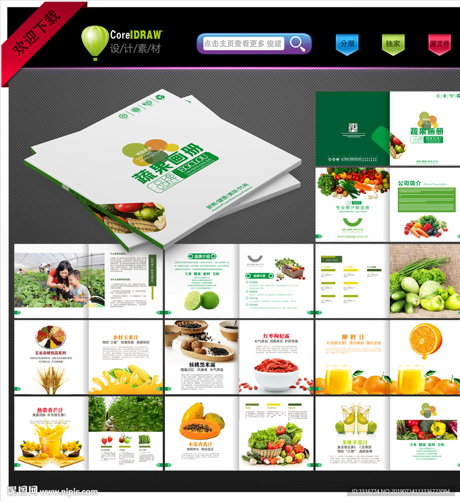 蔬果画册