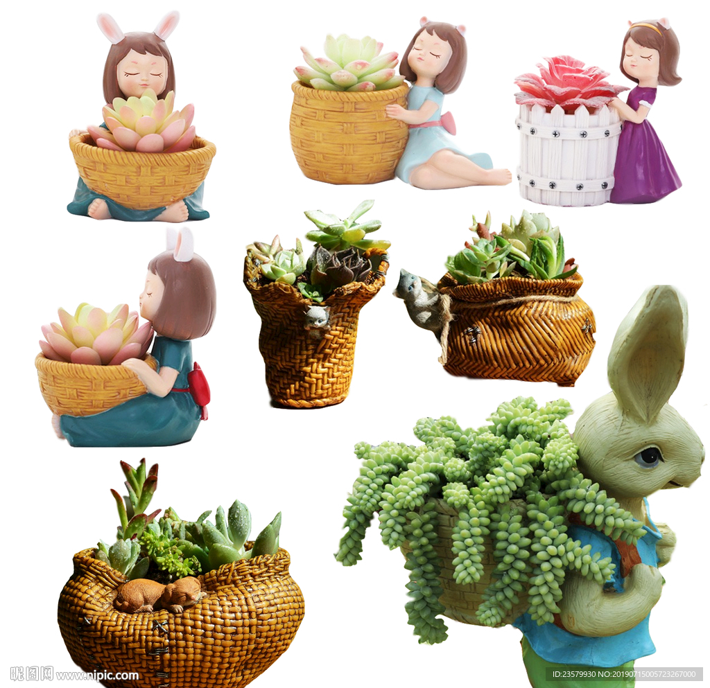 九组多肉植物盆栽