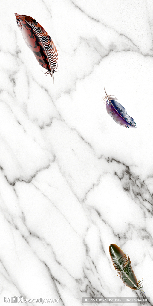 现代新爵士白羽毛 TIF分层