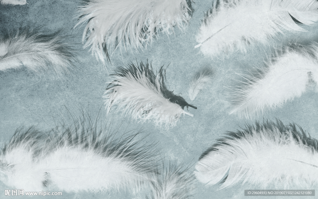 羽毛背景墙 TIF分层